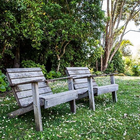 Villa Amongst The Nikau à Waihi Extérieur photo
