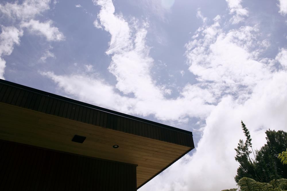 Villa Amongst The Nikau à Waihi Extérieur photo