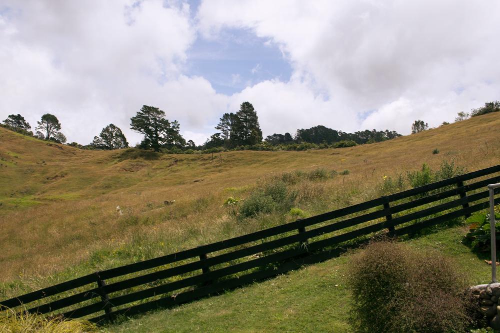 Villa Amongst The Nikau à Waihi Extérieur photo