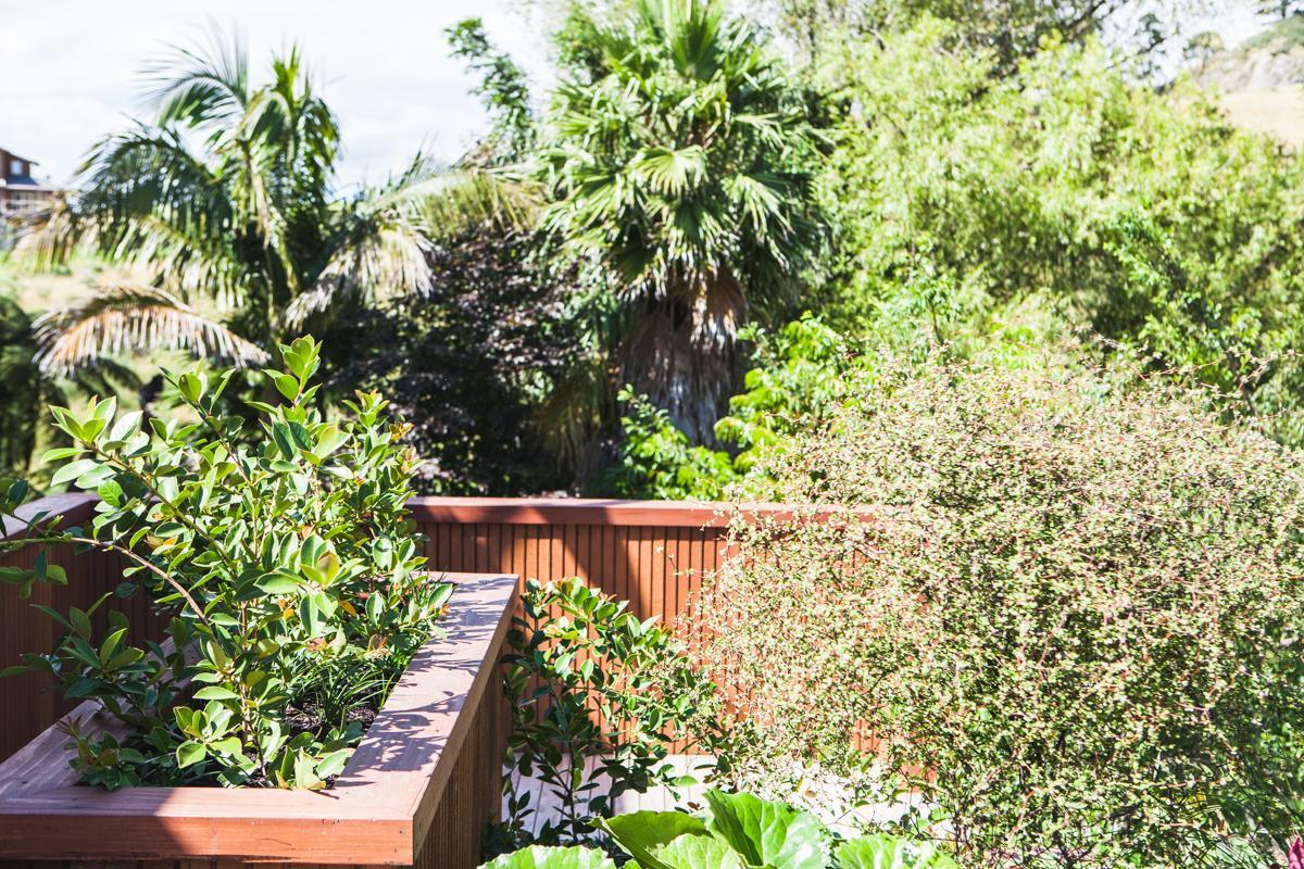 Villa Amongst The Nikau à Waihi Extérieur photo